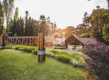 Terreno · TERRENO DE 1093 M² CONDOMINIO O BOSQUE EM GRAMADO