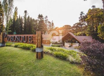 Terreno · TERRENO 1096 M² COM PROJETO APROVADO EM GRAMADO