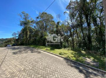 g1_3288_16477_1131_220324.jpg · TERRENO  EM GRAMADO