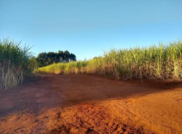 Rural de 3 quartos, Araraquara · VENDO FAZENDA PLANTACAO DE CANA REGIAO DE ARARAQUARA ( 4293 )