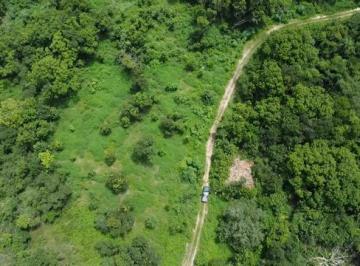 Rural , Belém · FAZENDA NO TOCANTINS, DUPLA APTIDÃO DE 28.500 hectares