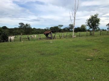 imagem-1 · Fazenda município de Crixás  Fazenda à Venda, 900000.00 por R$ 2050000.00 VN17407