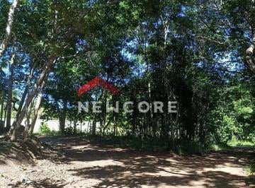 Terreno · 2442m² · 1 Quarto · 4 Vagas · Lote em Praia do Forte (Mata de São João) - Açú da Torre - Mata de São João/BA