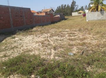 Foto 01 · Terreno - São João da Barra