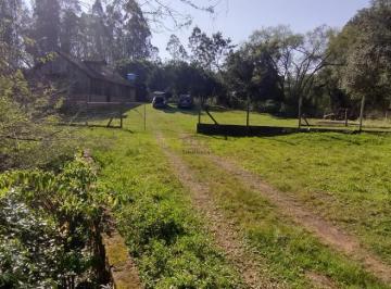 32066667_g.jpg · 
                                Chácara 3 Hectares, com casa, salão de festas, açude e arroio.
    