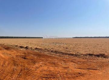 Rural · 2066600m² · Excelente fazenda na Vila Barroso, com 206,66 Ha de área total!