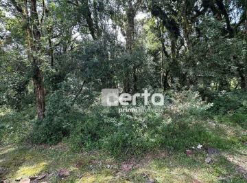 2463a80457e90e57a008ebd93679a1a80281b0c9 · Terreno à venda, 611 m² por R$ 630.000,00 - Pinheiro Grosso - Canela/RS