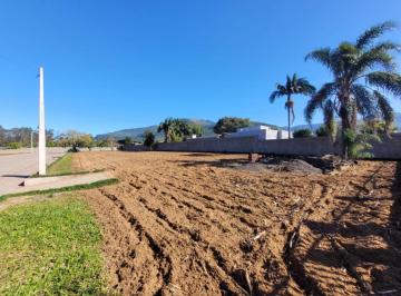 881813.jpg · Terreno - Bairro Maquiné