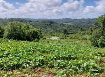 Rural · 20ha · ‍  TERRA PARA AGRICULTURA NO CARAÁ