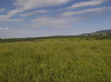 Rural de 4 quartos, Mococa · Sítio para plantio