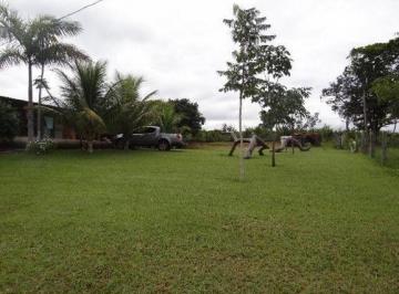 Rural · 1000000m² · 2 Quartos · FAZENDA 100 HECTARES  PECUARIA EM CORGUINHO MS