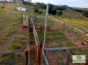 Rural · 1819800m² · FAZENDA 182 HECTARES  PECUARIA EM CAMAPUA MS
