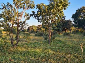 Terreno · 13000m² · AREA DE 13 MIL MT PROXIMO BAIRRO SANTA LUZIA