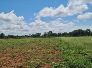 Rural · 120000m² · 1 Quarto · 5 Vagas · CHACARA EM CAMPO GRANDE MS 12 HECTARES PRO...