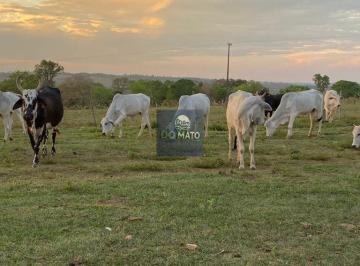 Rural · 1560000m² · 2 Quartos · 2 Vagas · FAZENDA 195 HECTARES PECUARIA EM RIO NEGRO MS