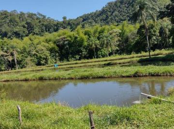 Rural · 840000m² · 3 Quartos · FAZENDA 105 HECTARES  PECUARIA EM SAO GABRIEL ...