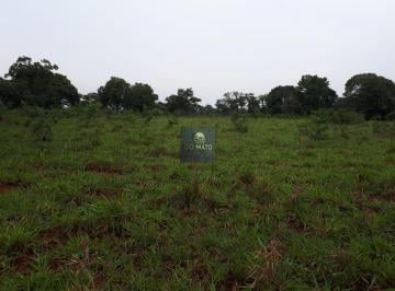 Rural · 280000m² · 2 Quartos · 3 Vagas · FAZENDA 30 HECTARES  DUPLA APTIDAO EM DOIS IRM...