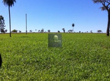 Rural · 1840000m² · 2 Quartos · FAZENDA 230 HECTARES DUPLA APTIDAO EM DOIS IR...
