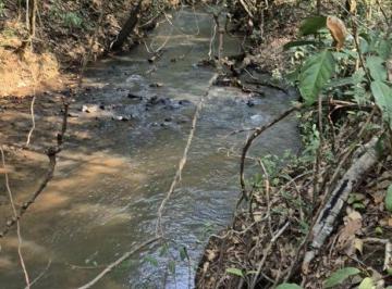 Rural · 320000m² · 3 Vagas · FAZENDA 40 HECTARES  DUPLA APTIDAO EM DOIS IRM...
