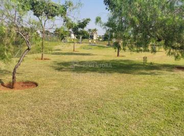 Terreno · 249m² · Terreno área 249,85 M² - Damha Fit Ipiguá