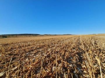 Rural , São João D'Aliança · FAZENDA DE 337 HECTARES EM SÃO JOÃO DA ALINÇA EM GOIÁS 