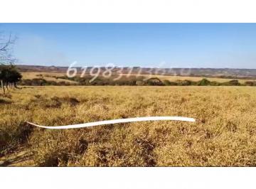 Terreno , Samambaia · ALUGO TERRENO PARA USINA DE PLACAS SOLAR COM 33 HECTARES!!