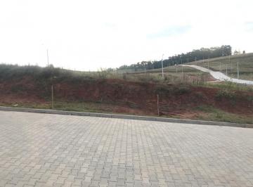 32130855_g.jpg · 
                                Terreno
                            