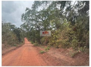 582986a4ede2ff0f7fdbc534e5cca58c.jpg · Fazenda com 700 hectares, dupla aptidão, terra brua, asfalto, produção de soja próxima