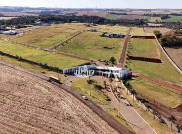 b49a5b8ff36ea1ceab370e465aec4dcdd3ea7d53 · Terreno à venda, 1503 m² por R$ 1.000.000,00 - Maanaim - Londrina/PR