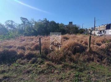 g1_6926_80904_0835_160824.jpeg · TERRENO COM 612M² À VENDA EM CAMBORIÚ 