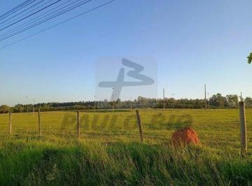 11862_iYiVwT8X3bo75Lu1_1186266cdd6b7dae26.jpg · Terreno à venda - em Caldeira