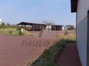 11868_iDSWm58c16K94J3yN_1186866cdf2e671757.jpg · Comercial à venda - em Corumbá