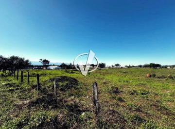 Terreno · 48000m² · LOTE - CAMPINAS - PINDAMONHANGABA SP