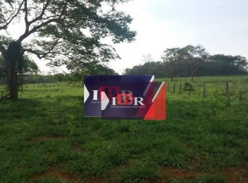 d792bf39bdc99aa79b09a3265caa03d23020ed86 · Fazenda em Alta Araguaia  - MT