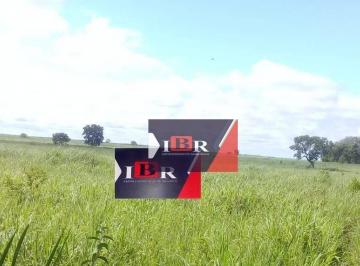 1b4033e0346a3fa72531360593843b3998d17266 · Fazenda em Coxim - MS