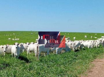 71676c476b28a513643753929fa62d27d1518456 · Fazenda em Bela Vista - MS