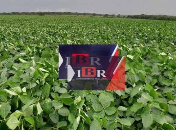 73c97d69090988ef4a20b044e99ae6fff651181c · Fazenda em Paranatinga - MT