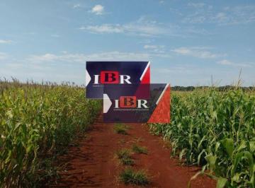 75947afb47b8a63bd95eb7a6c06e9b581d76bd77 · Fazenda em Lacuna Carapã - MS