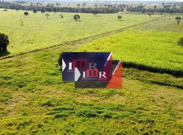 8db5fe796a96af77ecc770828db23e1b3bab31ca · Fazenda em Figueirão - MS