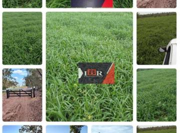 19d9c13401f7c5c65418affe0d627163c2d5c6a9 · Fazenda em Figueirão - MS