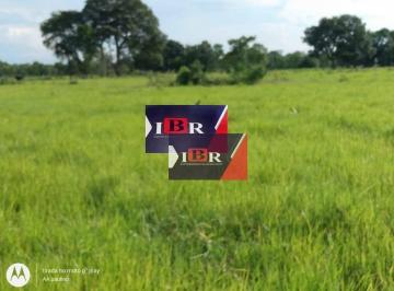 0de5a25ed6acade9e8883b01d54f1feab293380b · Fazenda em Miranda - MS