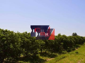 335ba69337a164890244aa11696792bf5d26158a · Fazenda à venda, 2420000 m² por R$ 40.000.000,00 - Zona Rural - Aguaí/SP