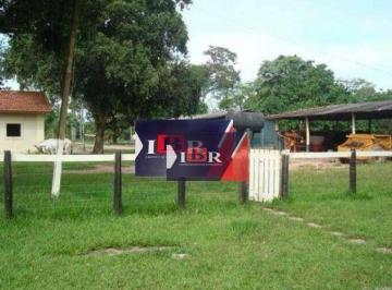 6153a8413f7f4976daedeaf7ffaac355462d1285 · Fazenda em Pedro Gomes - MS
