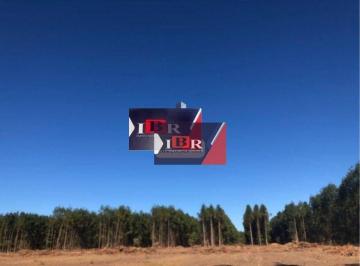 60c79226a82bf3c8432e6bfcfe4e052f176775d0 · Fazenda em Bonito de Minas - MG