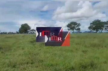 5fb69882b020f279fd1180fe158dc0aa3367bb58 · Fazenda em Alcinópolis - MS