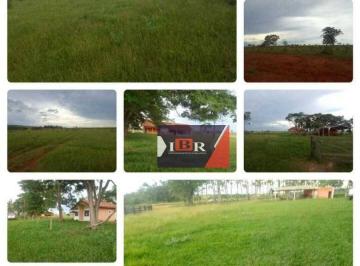 141c8d410321252753abdf034731cf799839aeb5 · Fazenda em Ribas do Rio Pardo - MS