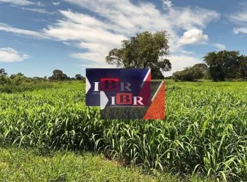 f9ee6afbe317719c06685a6b47d3cb45de512fef · Fazenda em Ribas do Rio Pardo - MS
