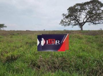 75100537513d3e789360f07ea3572a8fecbb02c3 · Fazenda em São Gabriel do Oeste - MS