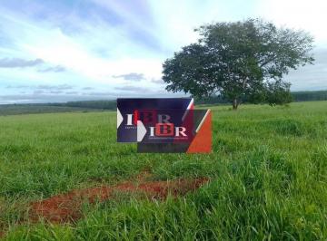376413eeefa456cdd595bf9246b373a0217c7fa5 · Fazenda em Dois Irmãos do Buriti-MS.