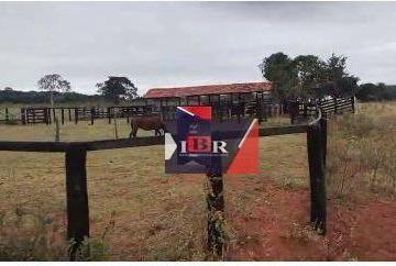 8eee6483ba269b75bf5bf833cf00f1bf3de46ede · Fazenda em Brasilândia - MS